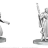 Critical Role: Beauregard Lionett & Caleb Widogast (Unpainted)