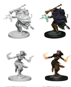 D&D Nolzur's Marvelous Miniatures: Tiefling Warlock - Female (Unpainted)