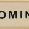 Domino