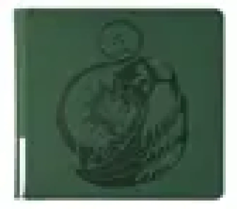 Dragon Shield Card Codex: Zipster Binder - XL - Forest Green