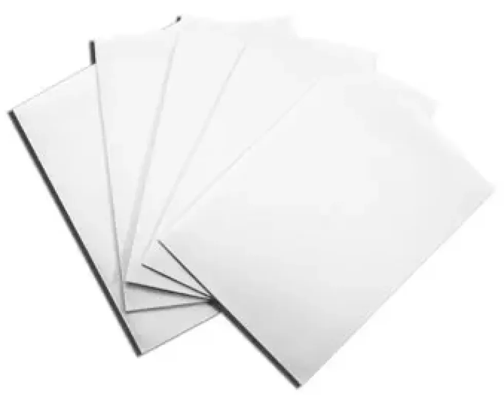 Dragon Shield: Classic White (63 x 88 mm) - 100 st