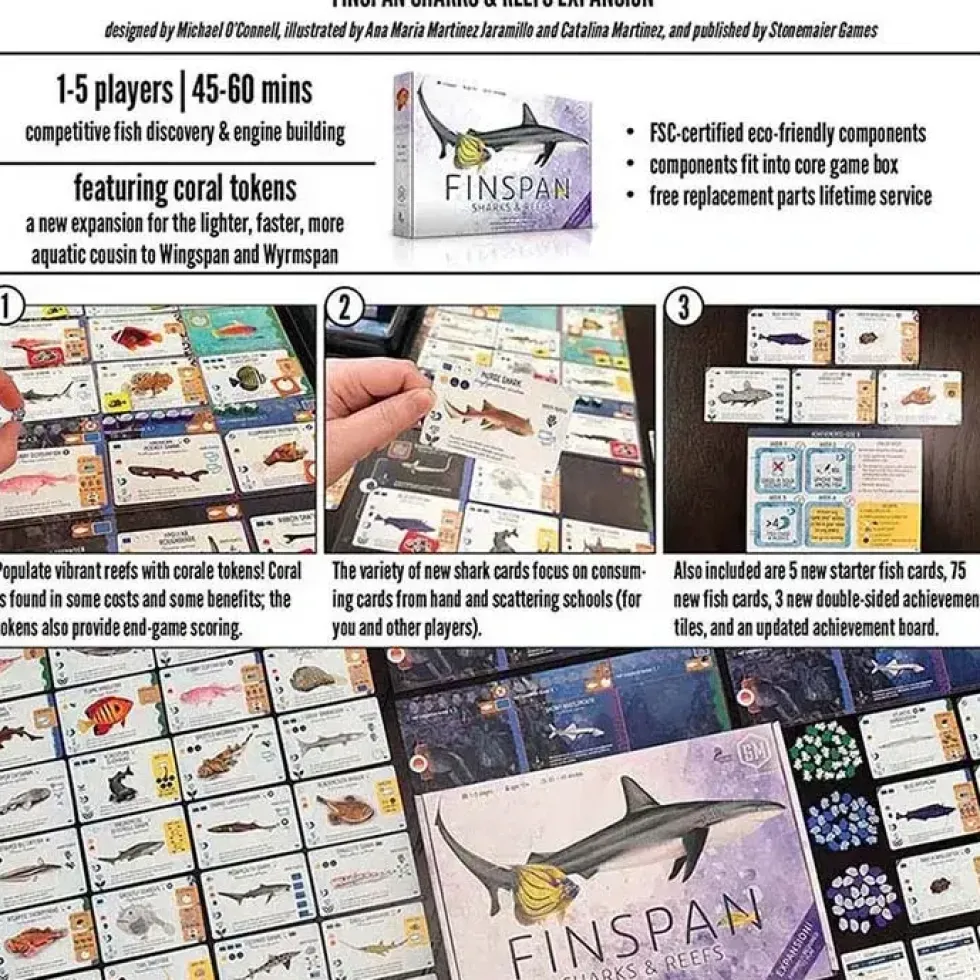 Finspan: Sharks & Reefs (ENG) (Exp.)