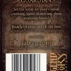 Flesh and Blood TCG: History Pack 1 Blitz Deck - Bravo