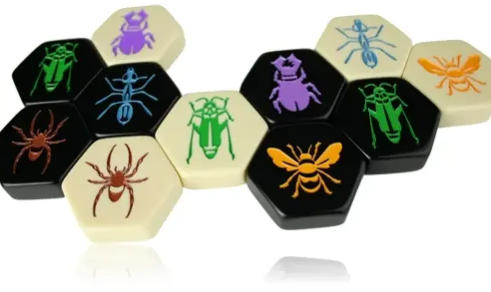 Hive