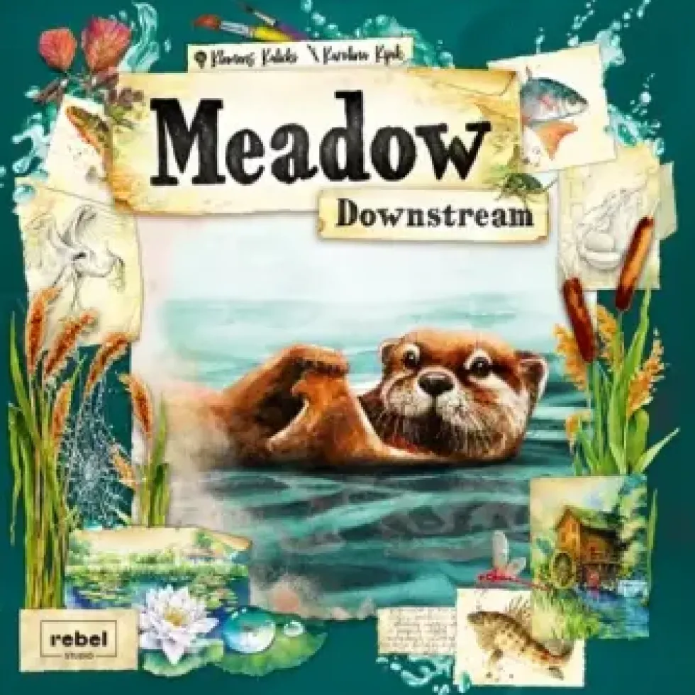Meadow: Downstream (Exp.)