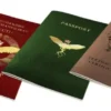 The Troubleshooters: International Passport Set (5)