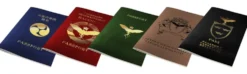 The Troubleshooters: International Passport Set (5)