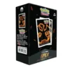 Ultra Pro: Pokémon, Neon Kanto - Charizard APEX Deck Protector Sleeves (105 st)