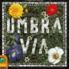 Umbra Via