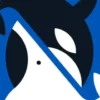 Whale to Look